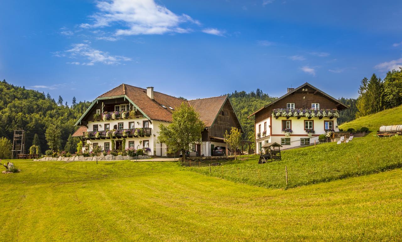 Вілла Wohlfuehlbauernhof Bambichlhof Фушль-ам-Зе Екстер'єр фото