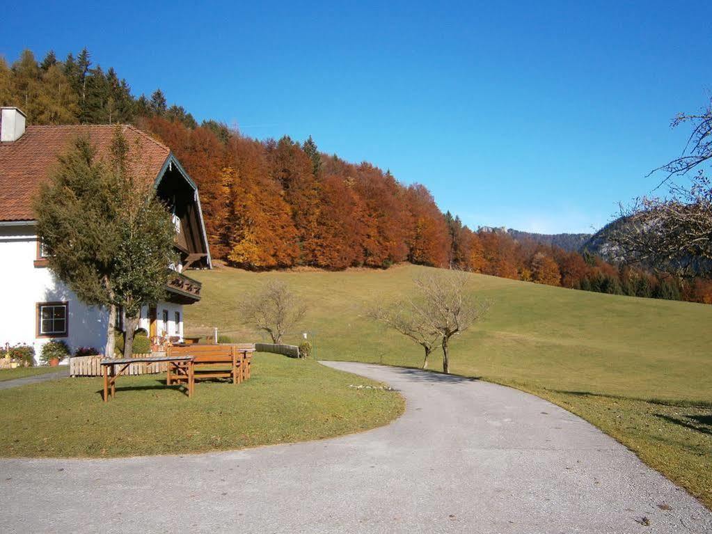 Вілла Wohlfuehlbauernhof Bambichlhof Фушль-ам-Зе Екстер'єр фото